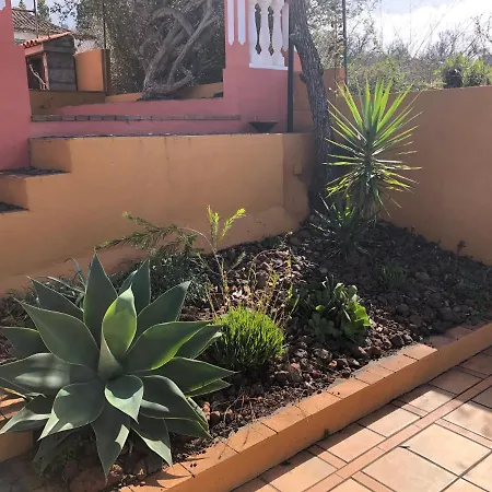 Villa Casa Cesar à Puntagorda Extérieur photo